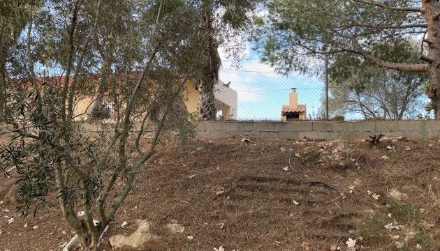 Reventa - Finca - Jacarilla