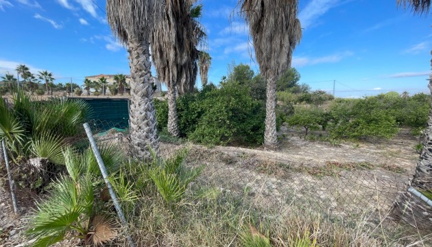 Reventa - Finca - Jacarilla