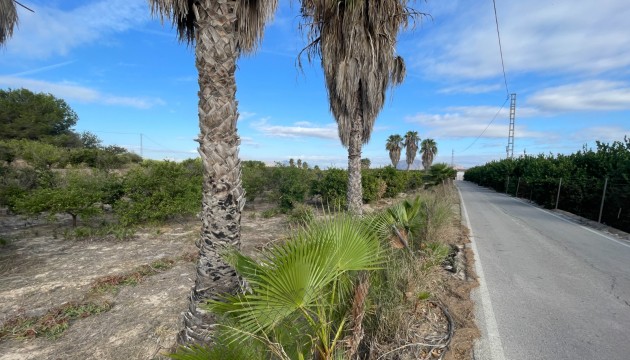 Reventa - Finca - Jacarilla