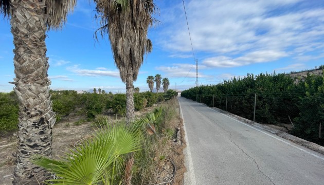 Reventa - Finca - Jacarilla