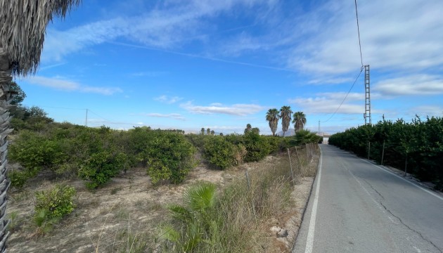 Reventa - Finca - Jacarilla