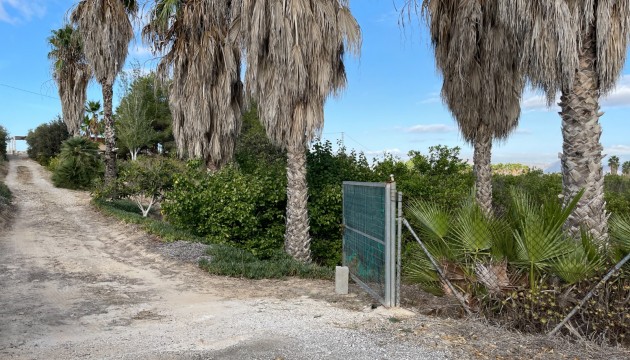 Reventa - Finca - Jacarilla