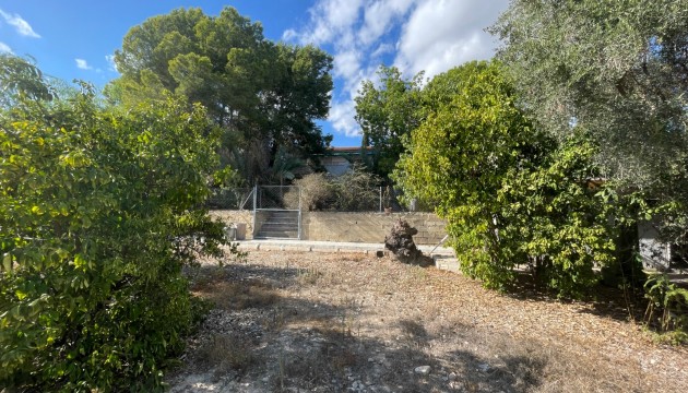 Reventa - Finca - Albatera