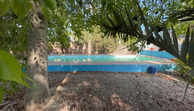 Reventa - Finca - Albatera