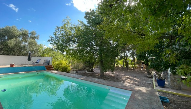 Reventa - Finca - Albatera