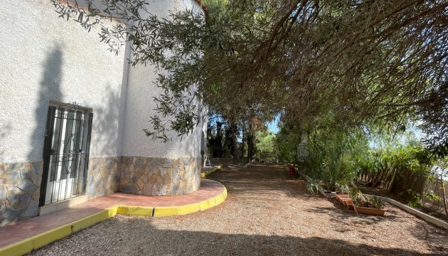 Reventa - Finca - Albatera