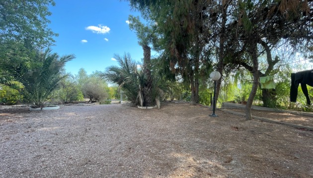 Reventa - Finca - Albatera