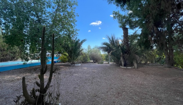 Reventa - Finca - Albatera