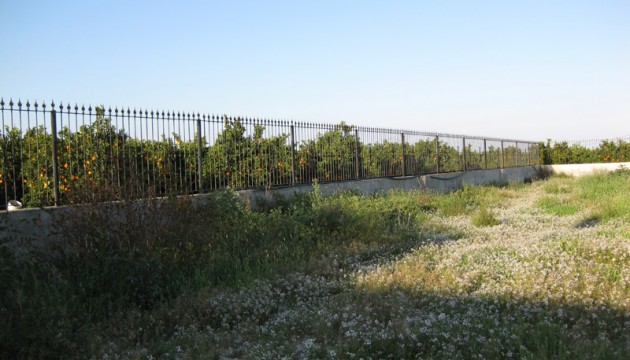 Перепродажа - деревенский дом - Benferri