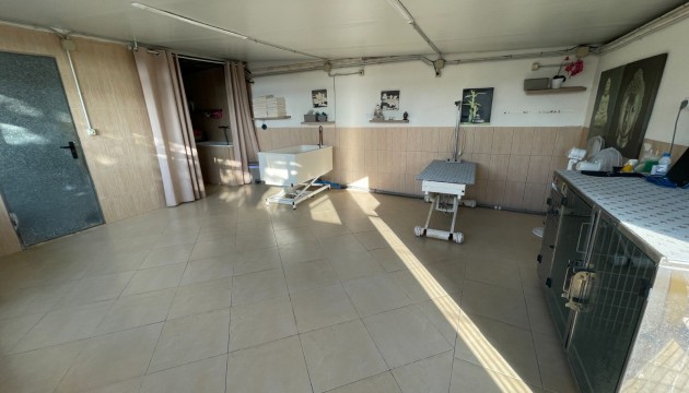 Resale - Country House - Elche - Las Bayas