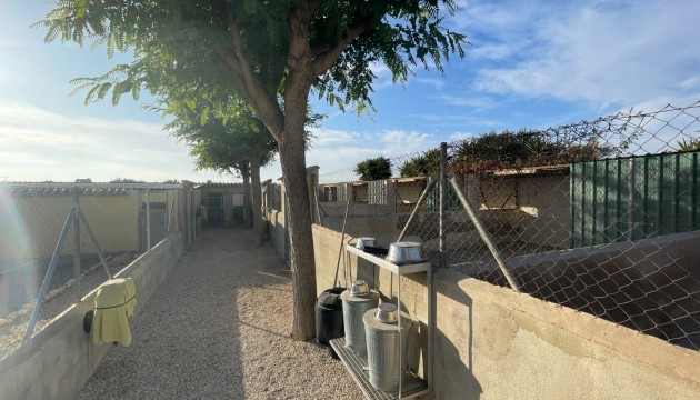 Resale - Country House - Elche - Las Bayas