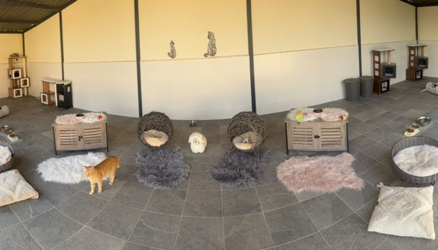 Resale - Country House - Elche - Las Bayas