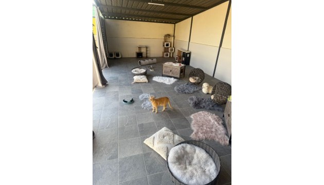 Resale - Country House - Elche - Las Bayas