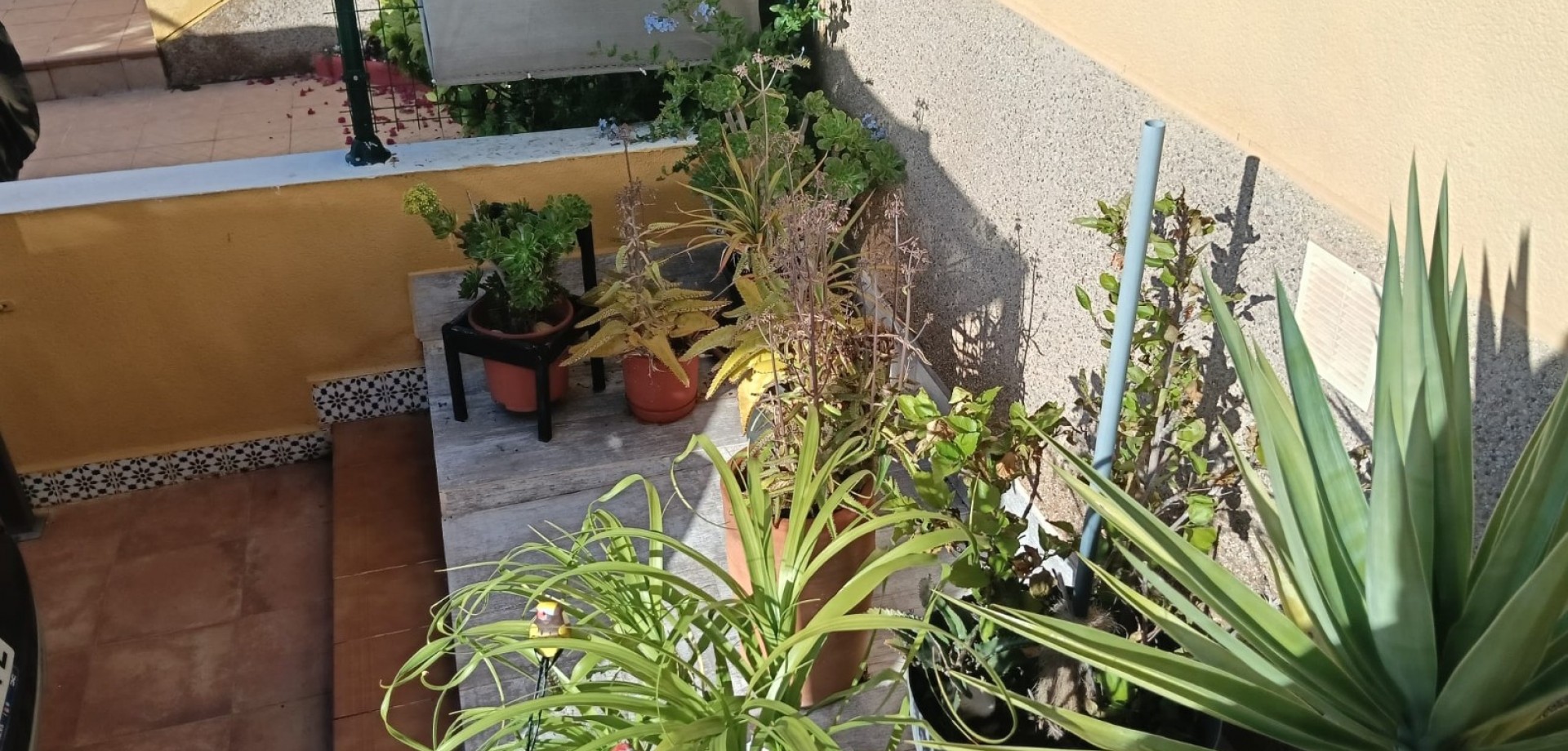 Apartment in Los Montesinos - Image 5