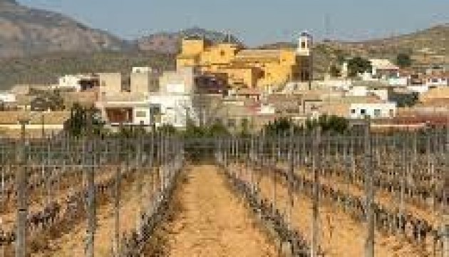 Neue Gebäude - Bungalow - Hondón de las Nieves