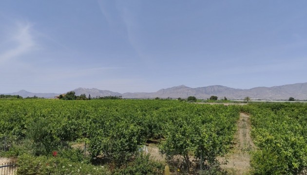 Begagnad - Landsbyggdshus - Albatera