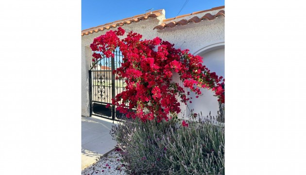 Resale - Detached Villa - Torrevieja - San Luis