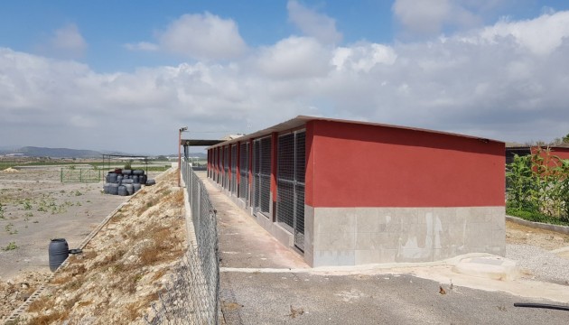 Herverkoop - Country House - Los Montesinos