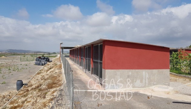 Перепродажа - деревенский дом - Los Montesinos