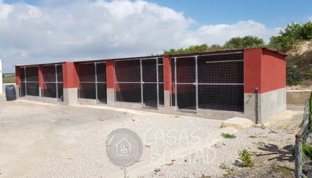 Перепродажа - деревенский дом - Los Montesinos