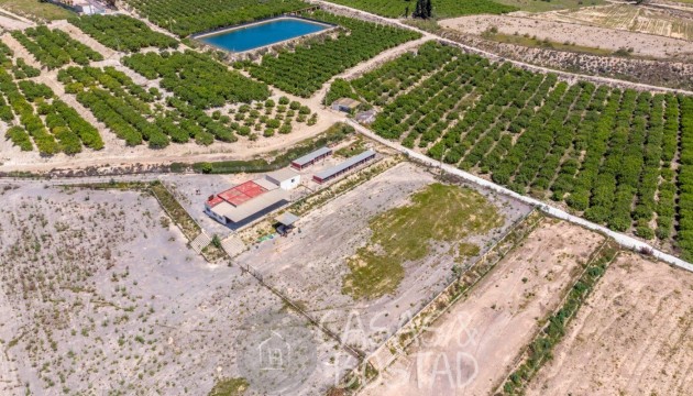 Перепродажа - деревенский дом - Los Montesinos