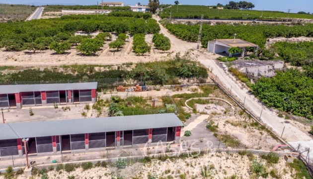 Перепродажа - деревенский дом - Los Montesinos