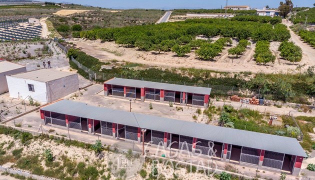 Перепродажа - деревенский дом - Los Montesinos