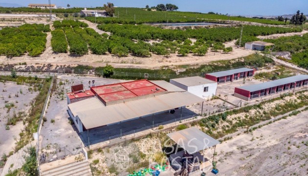 Перепродажа - деревенский дом - Los Montesinos