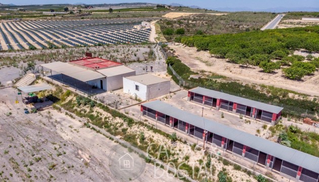 Перепродажа - деревенский дом - Los Montesinos