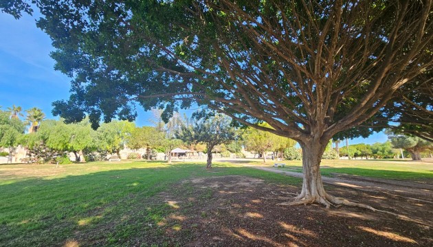 Resale - Duplex - Torrevieja - Nueva Torrevieja - Aguas Nuevas