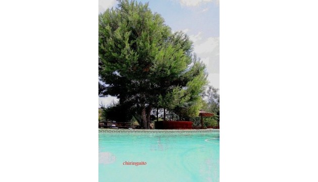 Videresalg - Detached Villa - Gea Y Truyols