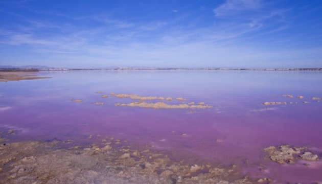 Resale - Detached Villa - Orihuela Costa - Los Altos