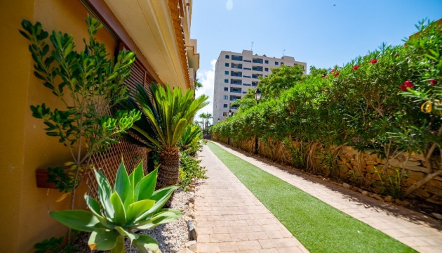 Resale - Apartment - Orihuela Costa - Punta Prima
