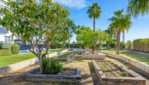 Begagnad - Lägenhet - Orihuela Costa - Los Dolses