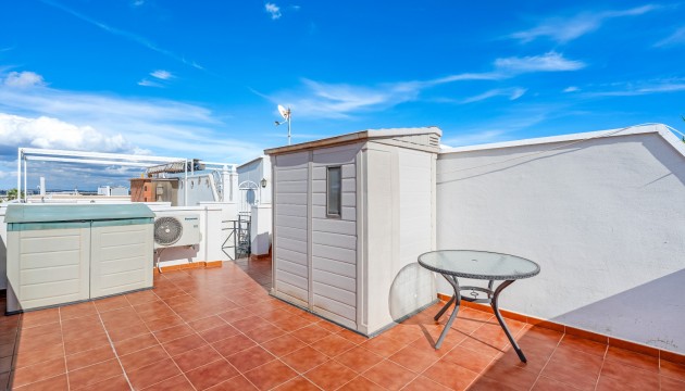 Begagnad - Lägenhet - Torrevieja