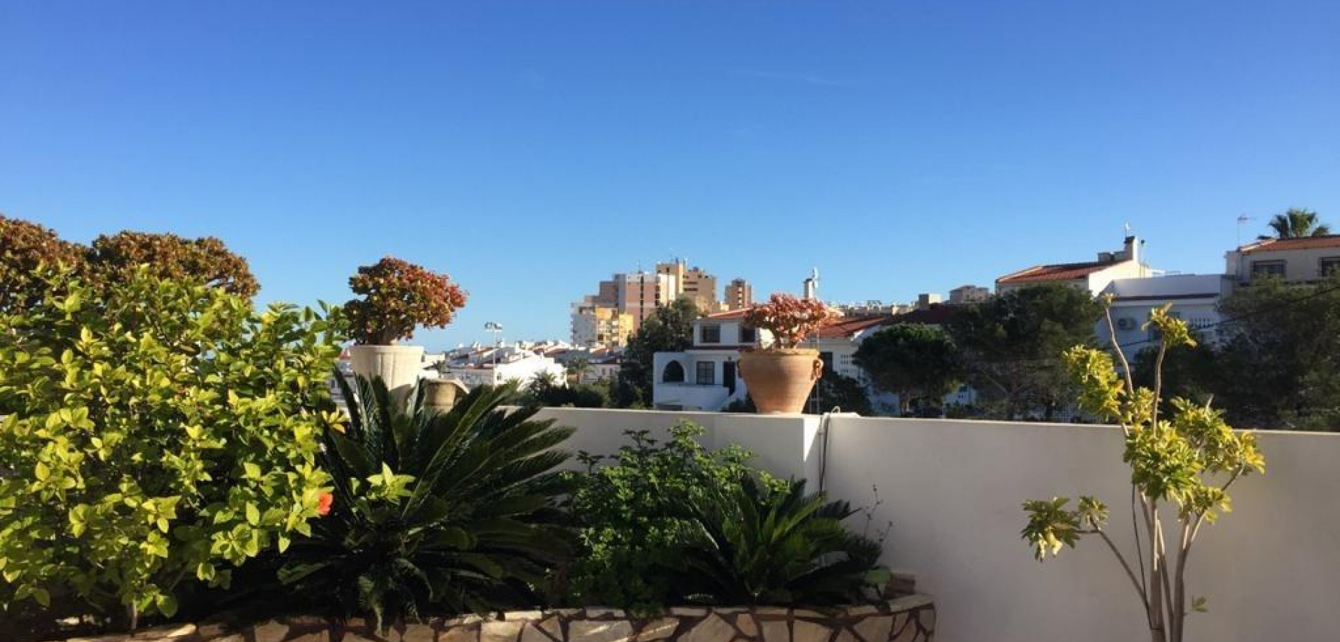 House in Torrelamata - Image 2