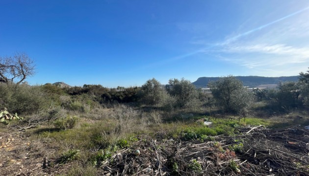 Begagnad - Landsbyggdshus - Aspe