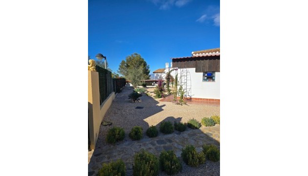 Resale - Detached Villa - Fuente Alamo - Las Palas