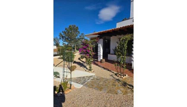 Resale - Detached Villa - Fuente Alamo - Las Palas