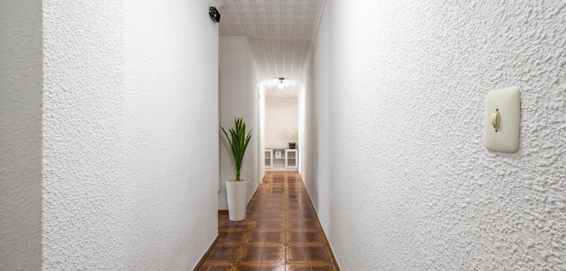 Apartment in Torrevieja - Image 5