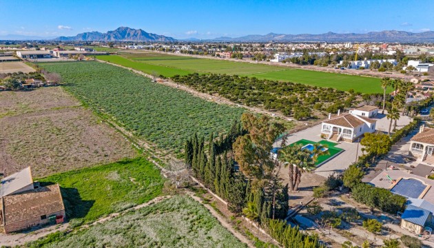 Reventa - Finca - Dolores