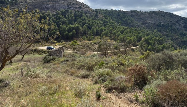 Resale - Plot / Land - Confrides - Barranc de Xarquera