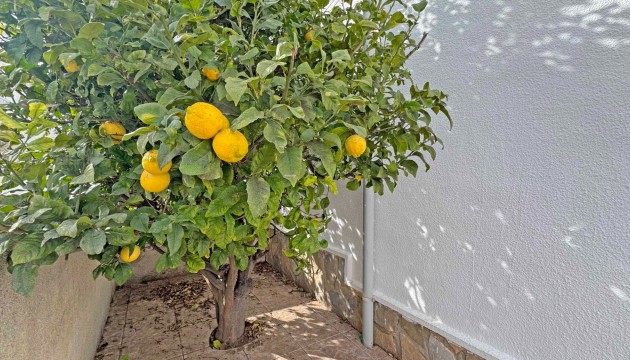 Resale - Semi Detached Villa - San Miguel de Salinas