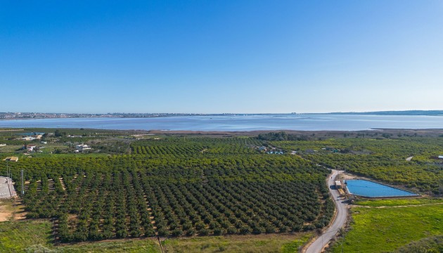 Reventa - Apartamento - Los Montesinos