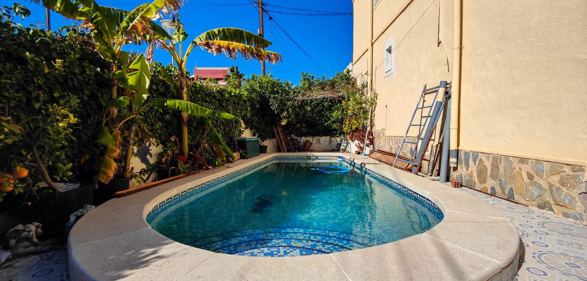 House in San Miguel de Salinas - Image 4