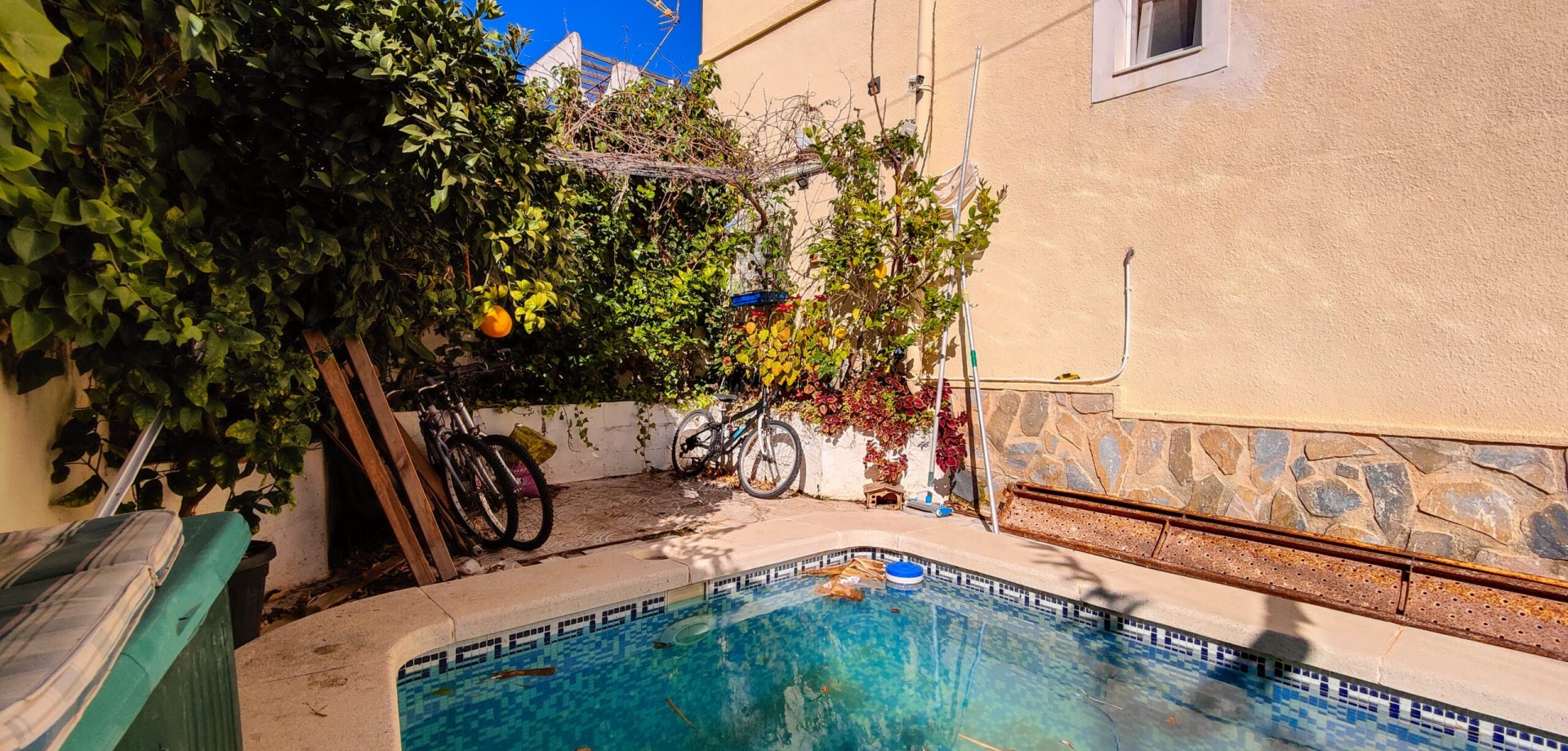 House in San Miguel de Salinas - Image 5