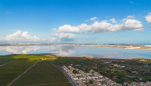 Resale - Bungalow - Torrevieja - Los Balcones - Los Altos del Edén