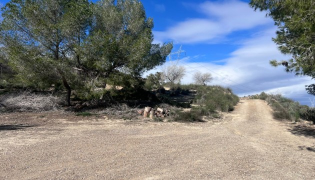 Reventa - Finca - Torremendo