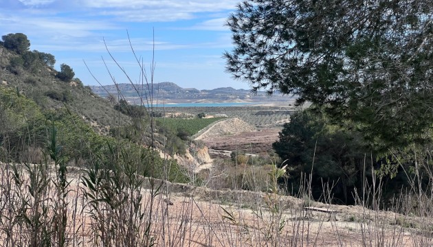 Reventa - Finca - Torremendo