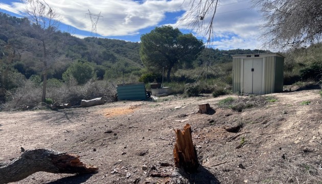 Reventa - Finca - Torremendo